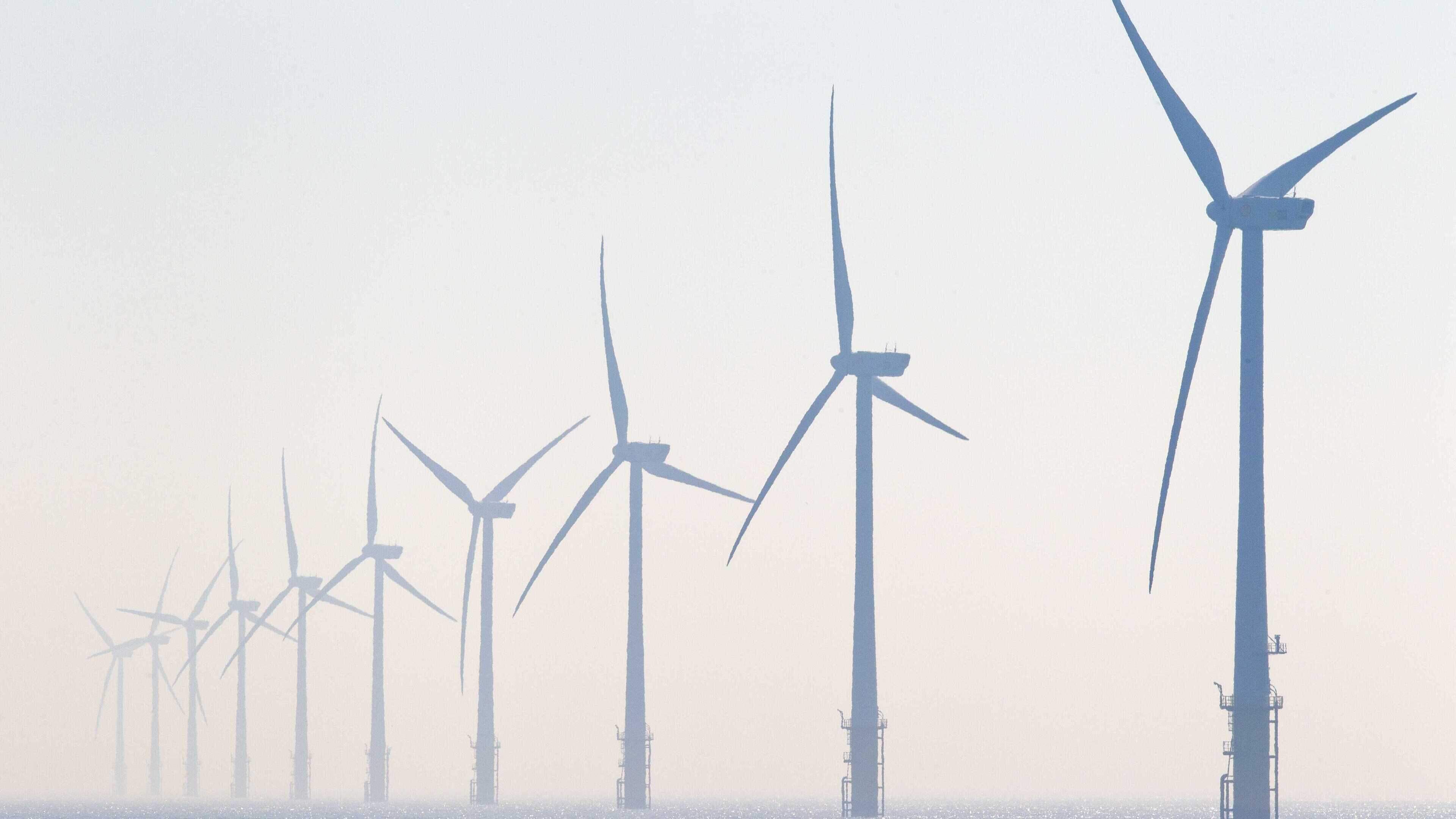Ecowende wind farm turbines to get red blades to prevent bird collisions