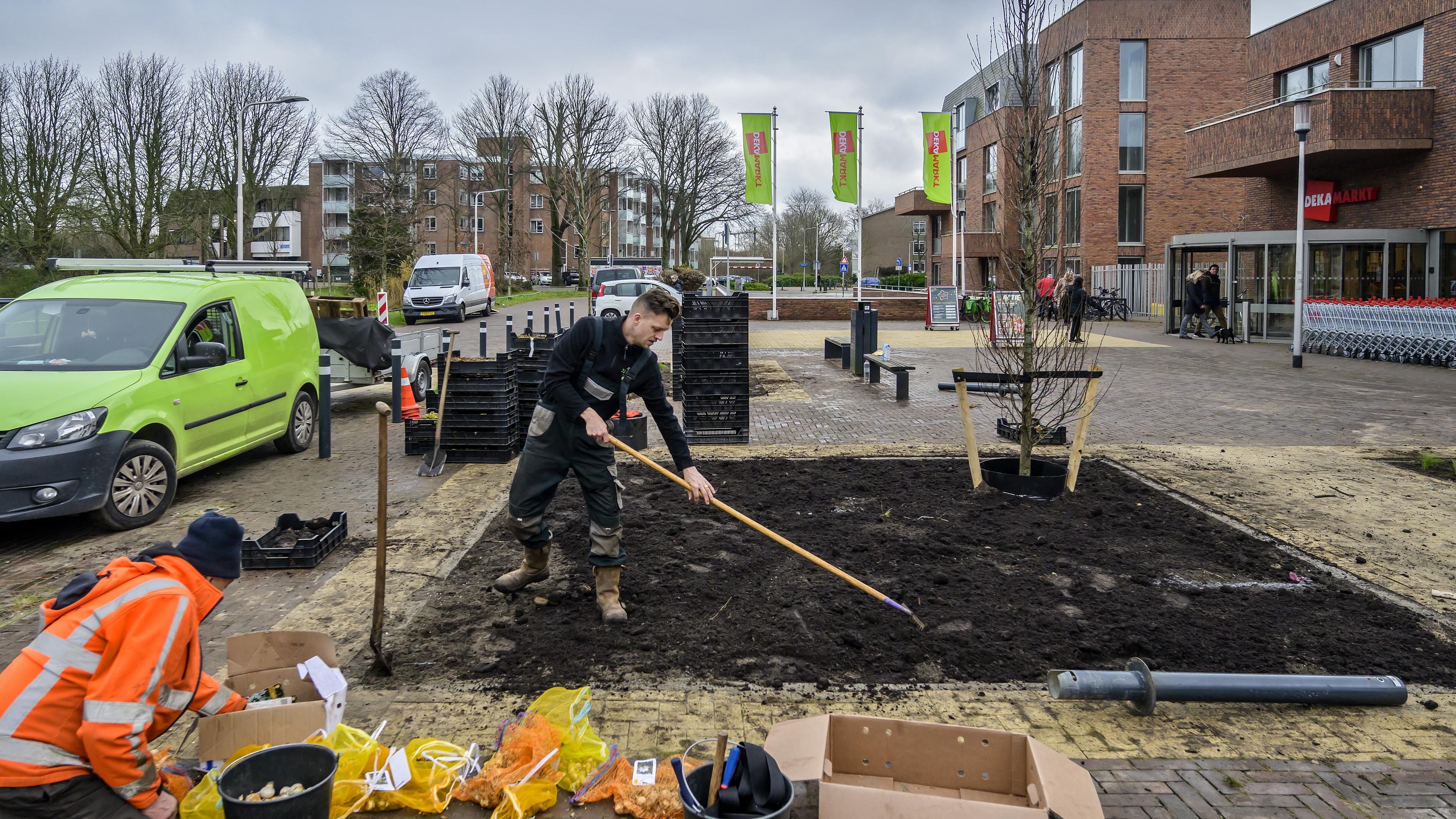 Bomen, planten en bollen voor Blekersveld in Santpoort-Zuid. Na jaren aandringen krijgen bewoners ee