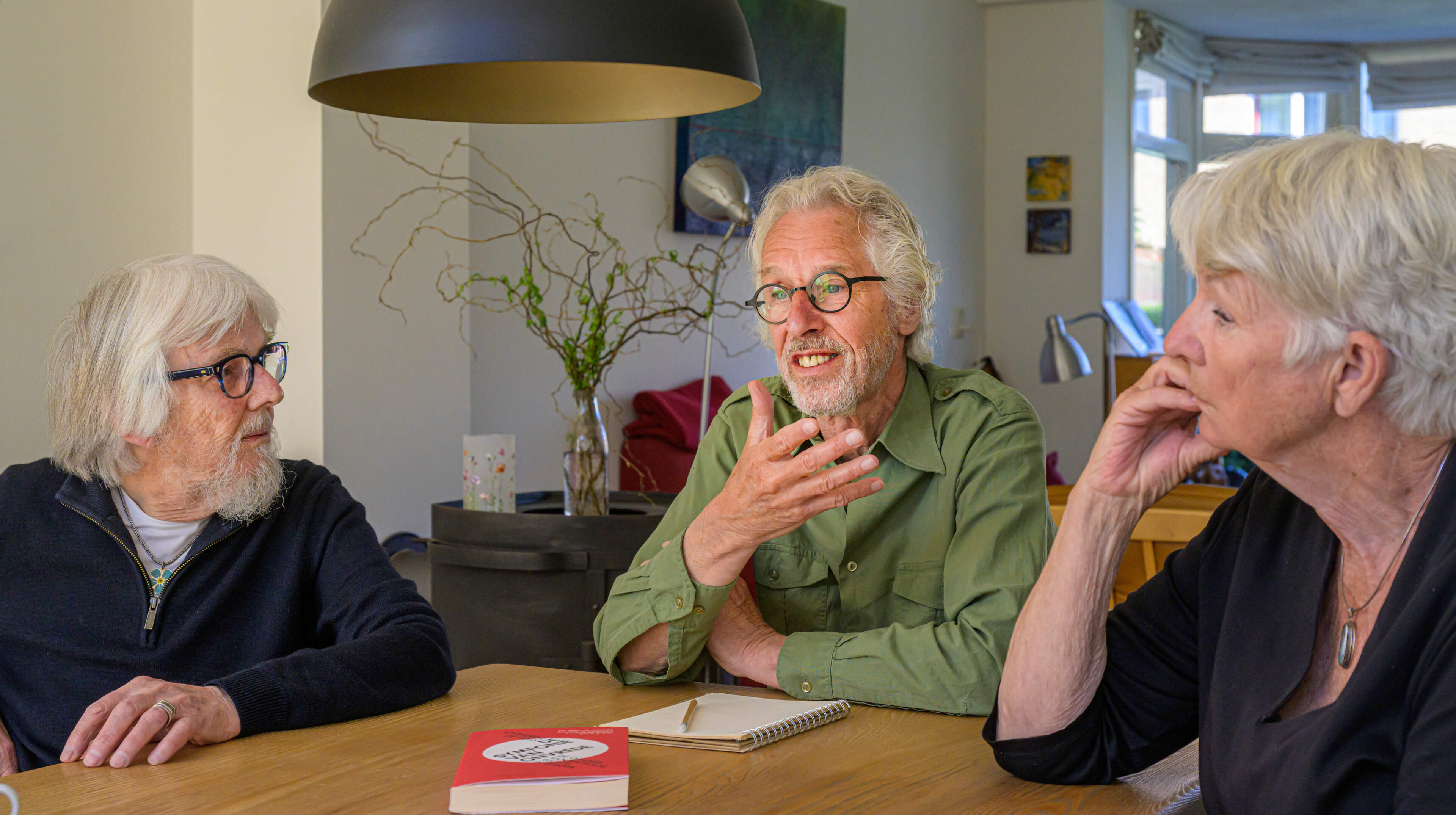 Four concerned Velsen residents send letter to city council after FVD victory: 'We want to call for unity'