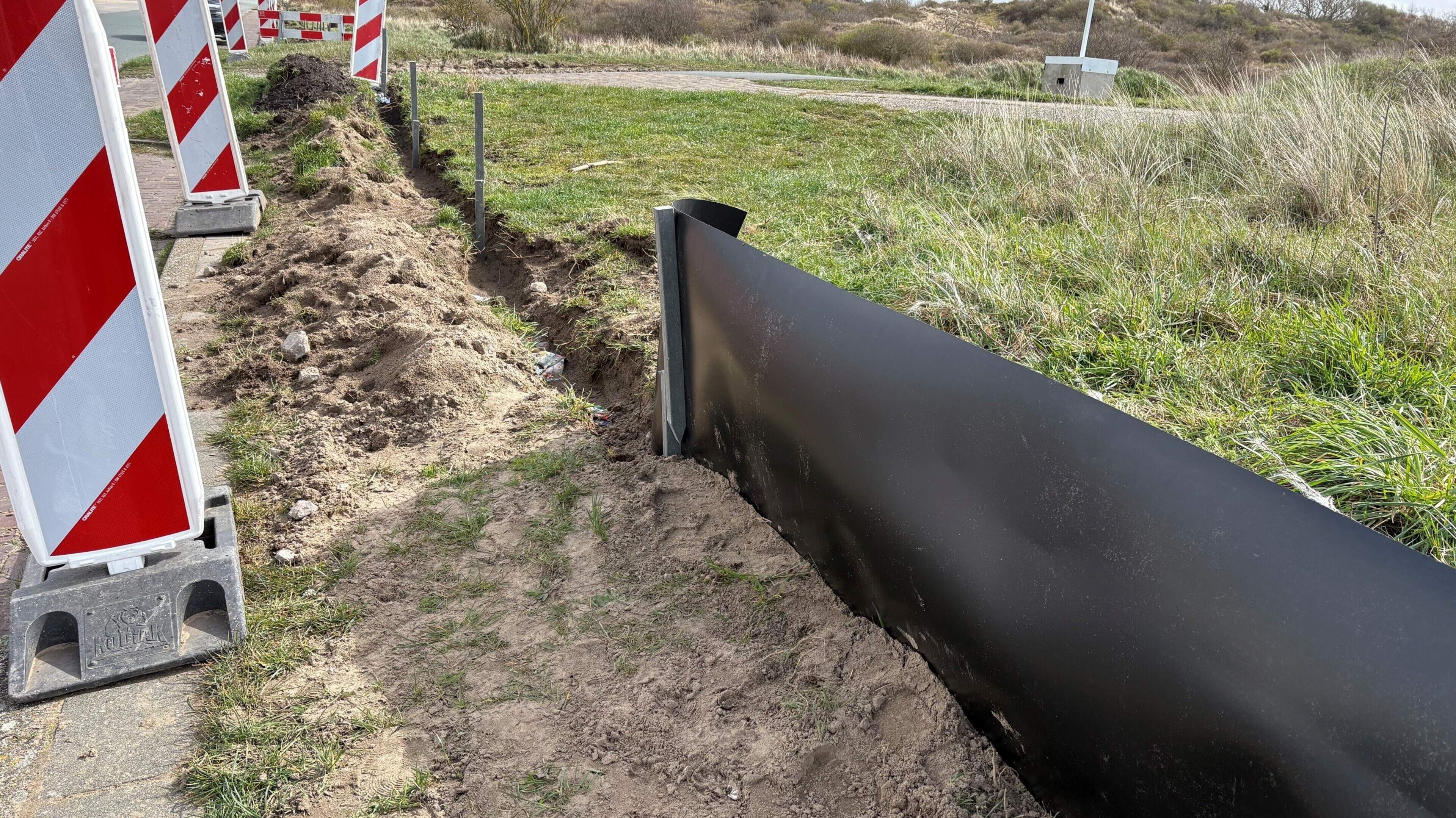 Ampèrestraat toad fence, pointless? Not for laying new power cables in IJmuiden