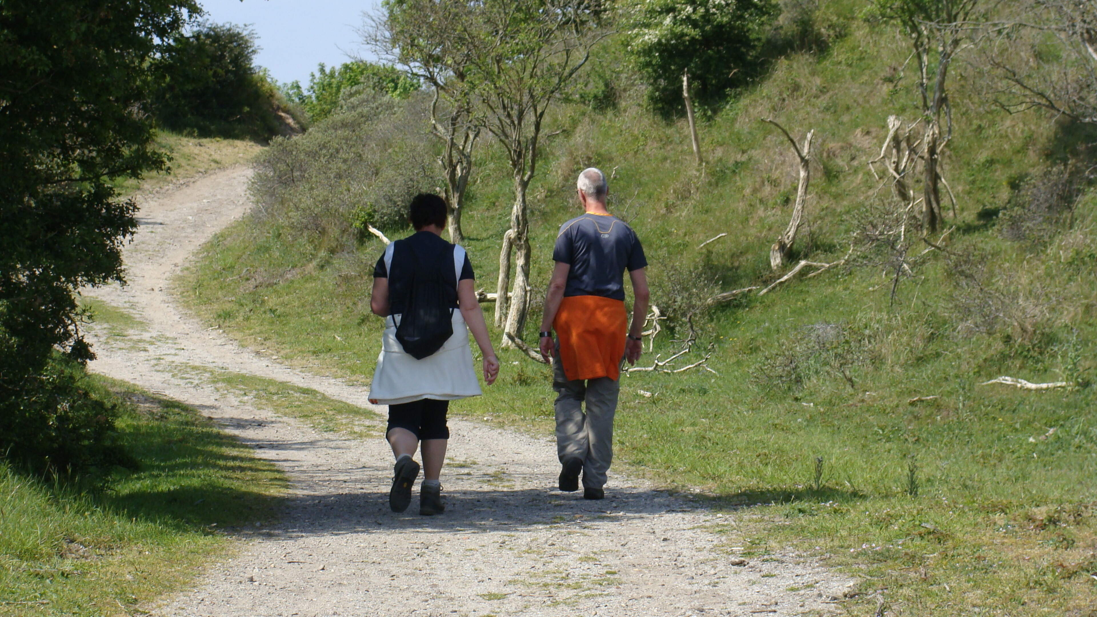 Hiking trails in part of South Kennemerland National Park closed to protect young animals
