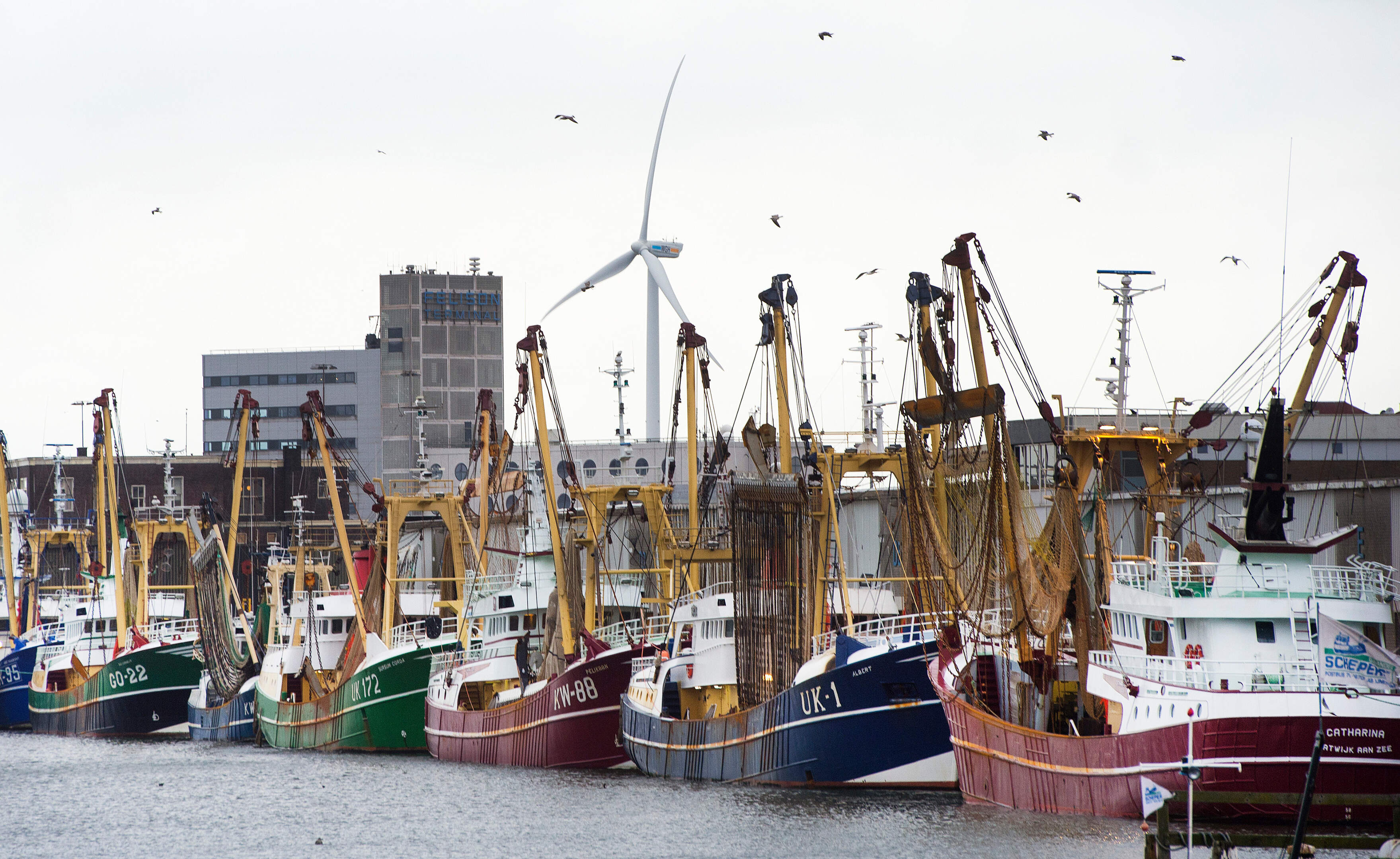 Katwijk fishing industry in distress, affecting IJmuiden; South Holland province steps in
