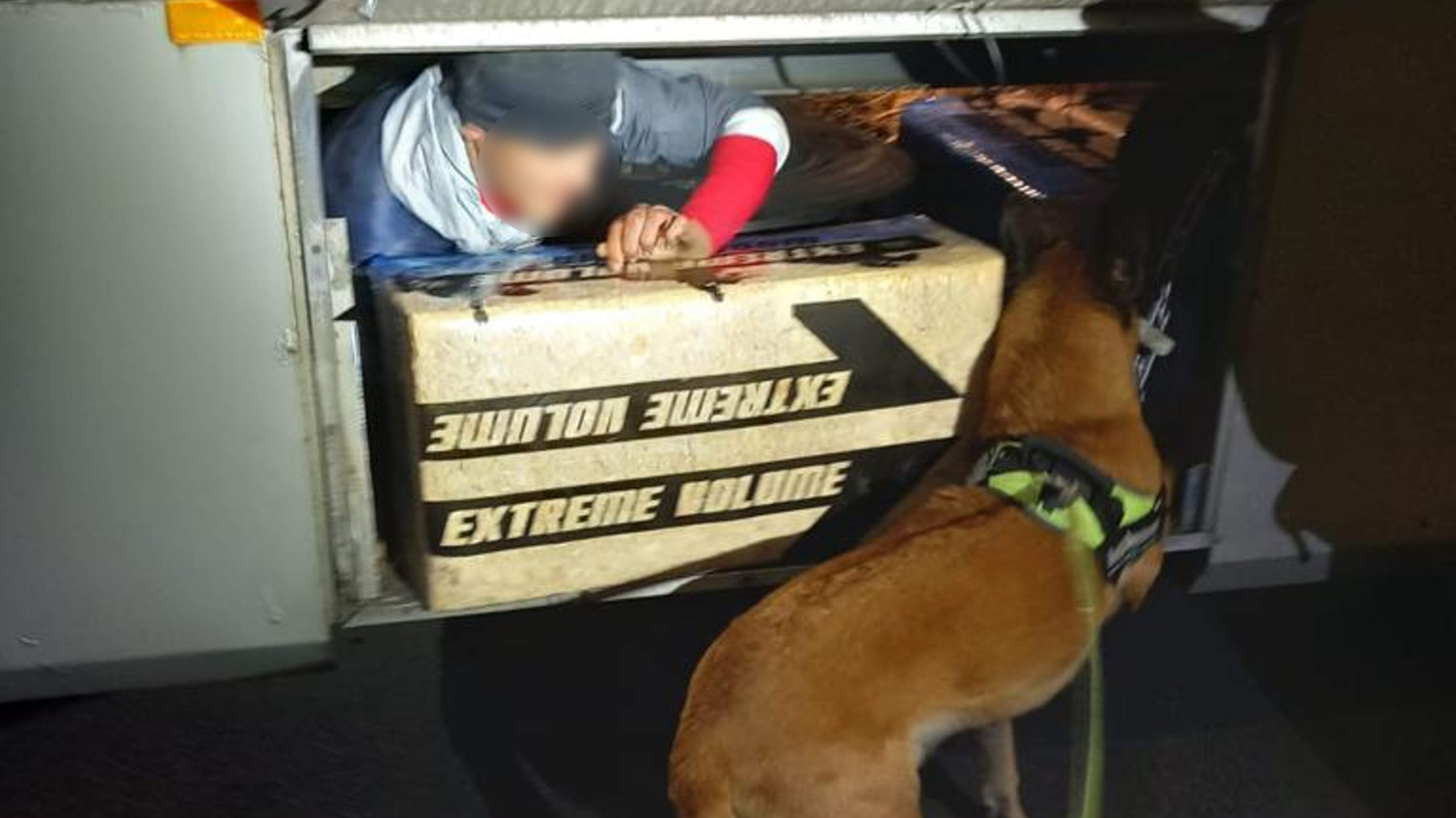 Nationwide rise in human smuggling on ferries, but IJmuiden-Newcastle route bucks the trend: ‘Less attractive for smugglers,’ says marechaussee