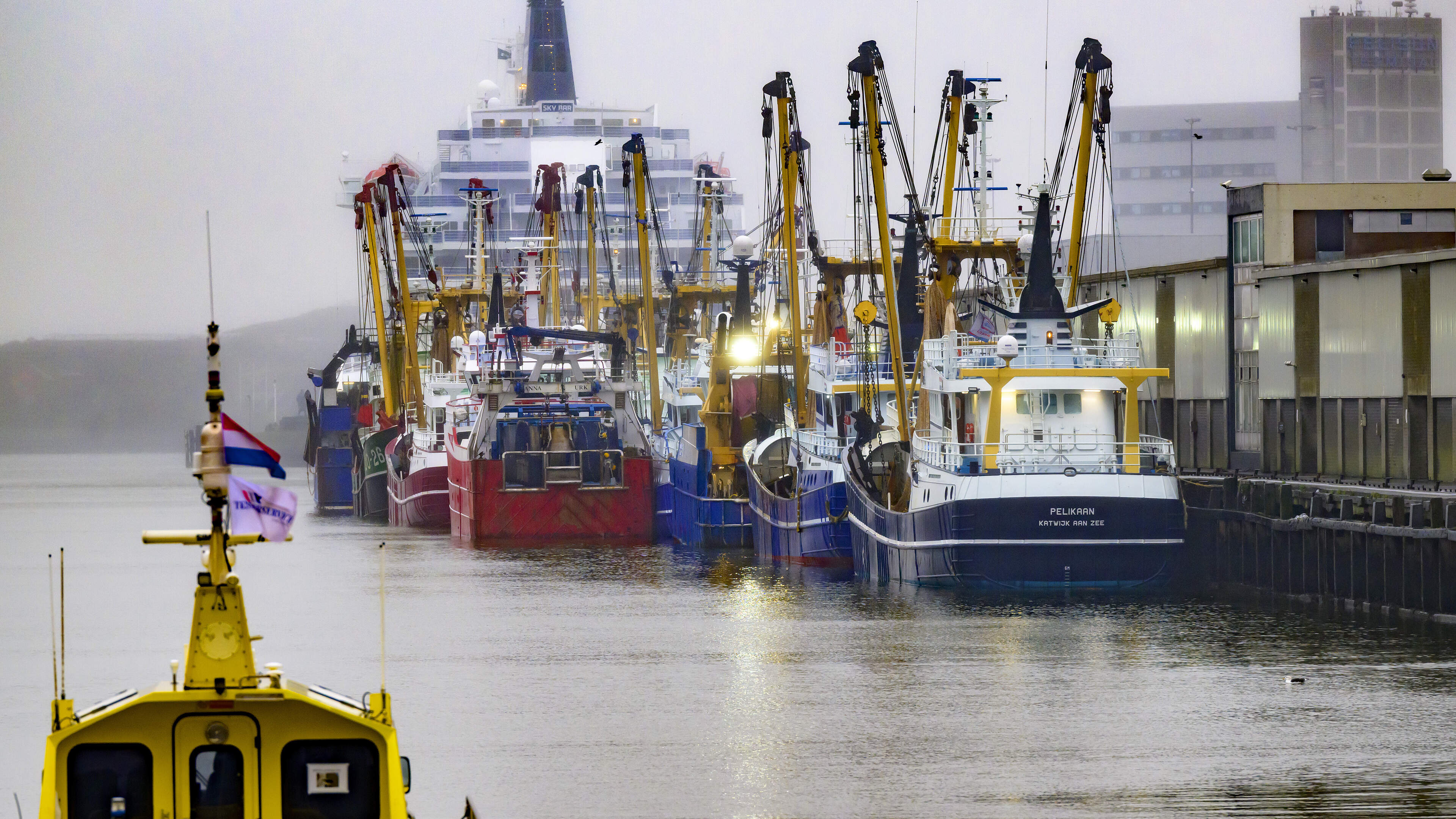 Key fish species thriving. Biologists recommend higher catch quotas