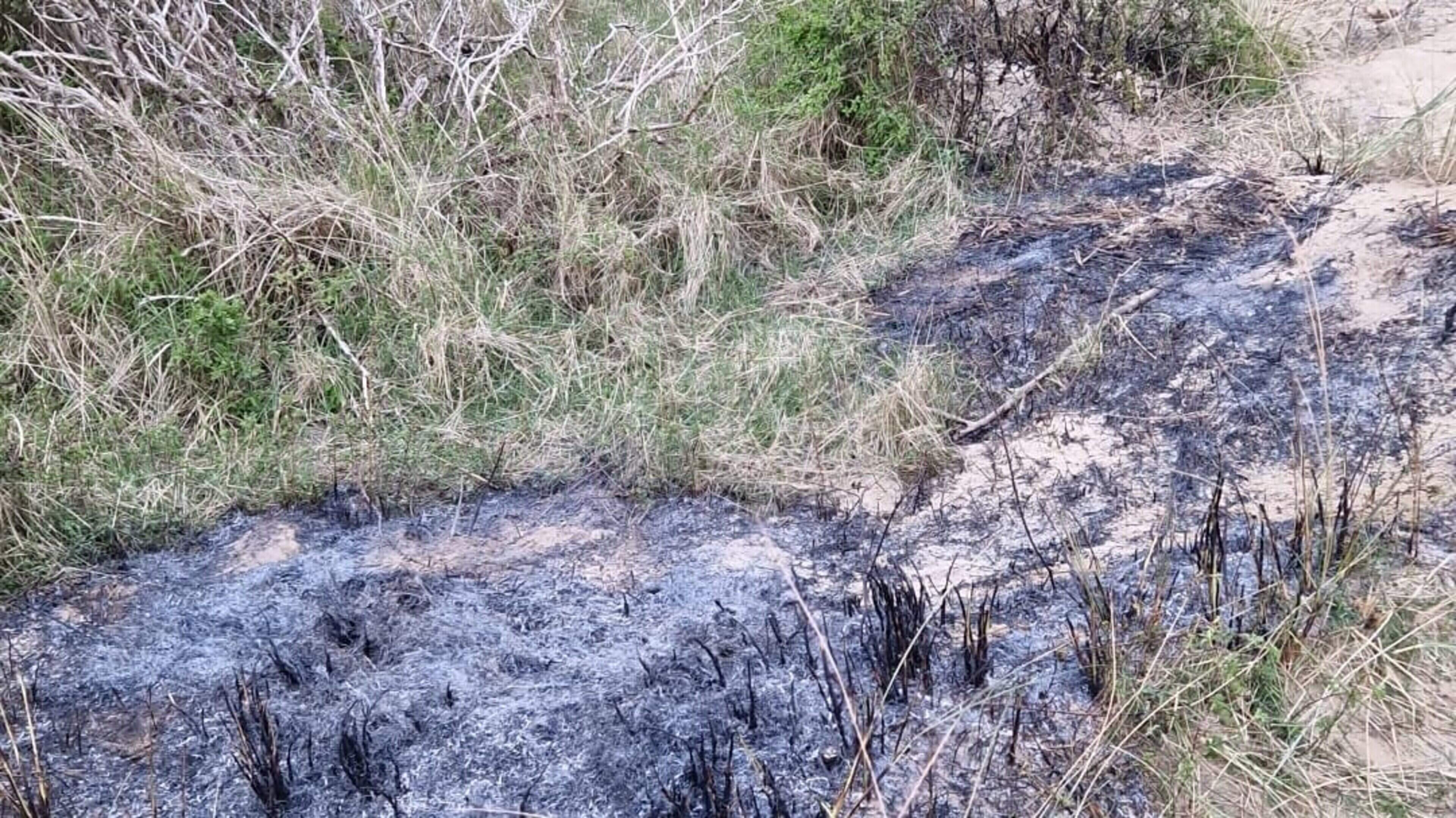 Multiple dune fires near IJmuiden: fire department warns of open fire hazard. 'Hold each other accountable'