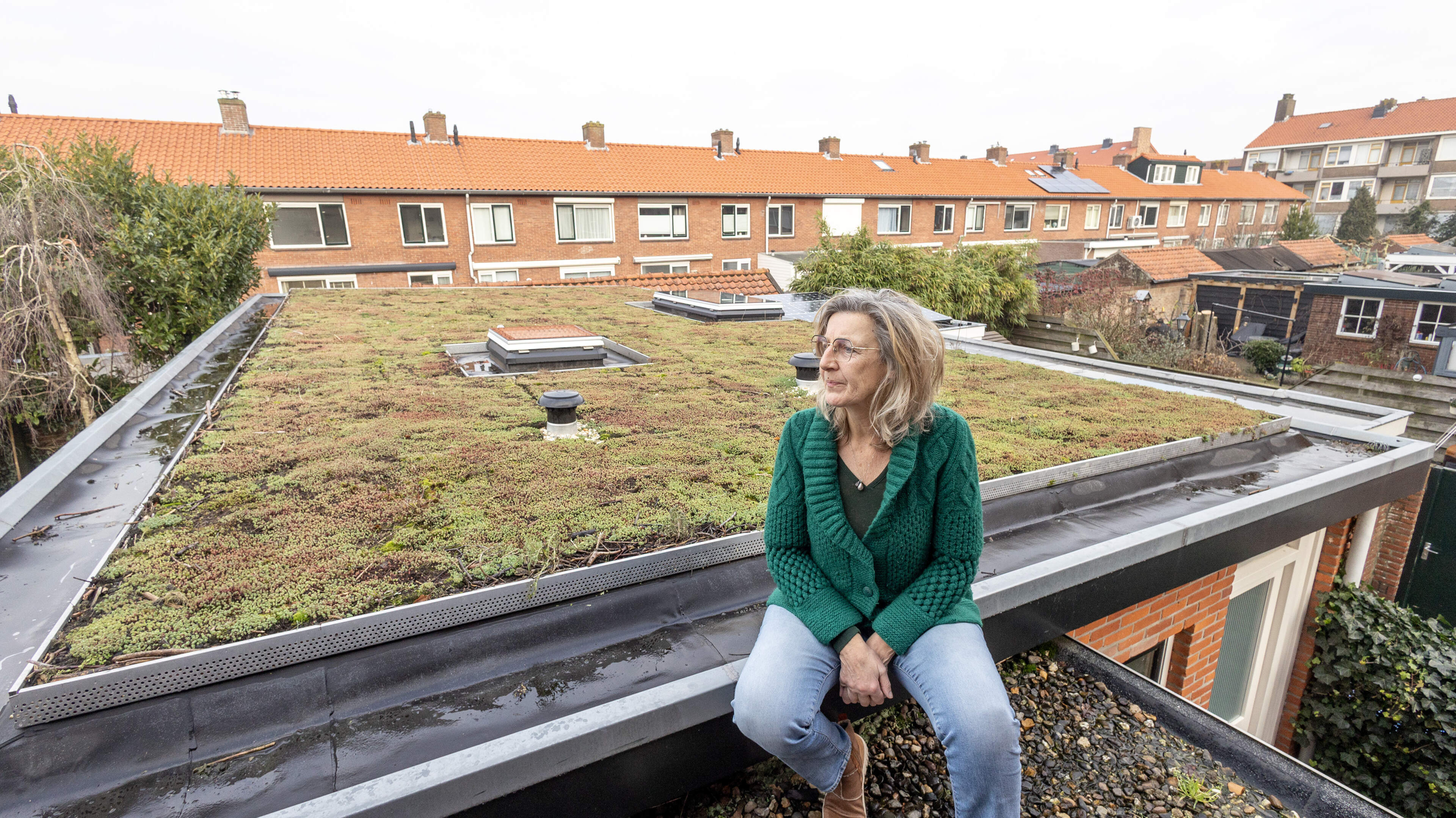 Green roof initiative creates 760 square meters of new greenery in Velsen