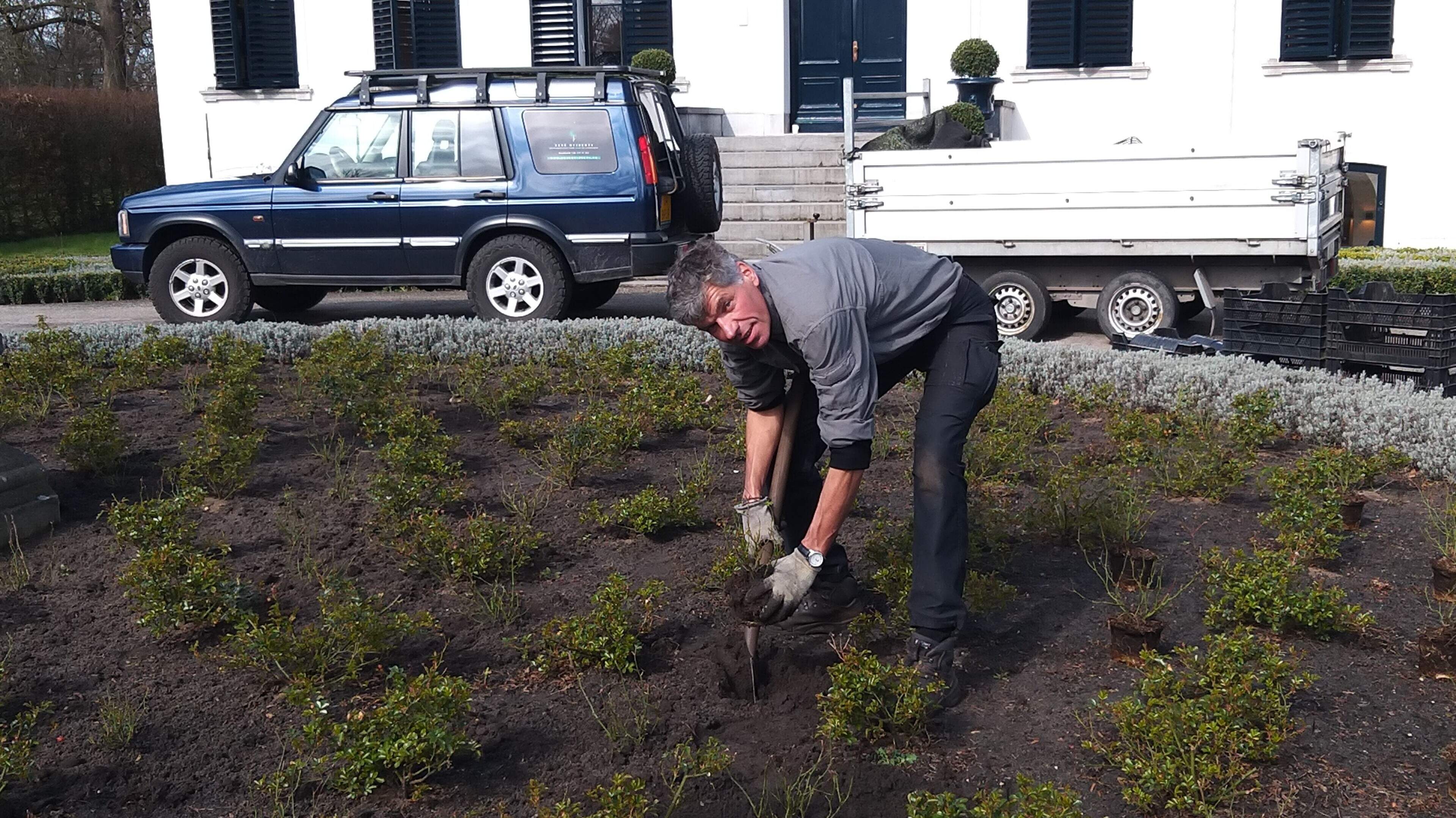 Landscape architect René rolls up his sleeves in Velserbeek: ‘You look at things differently when you stand still’