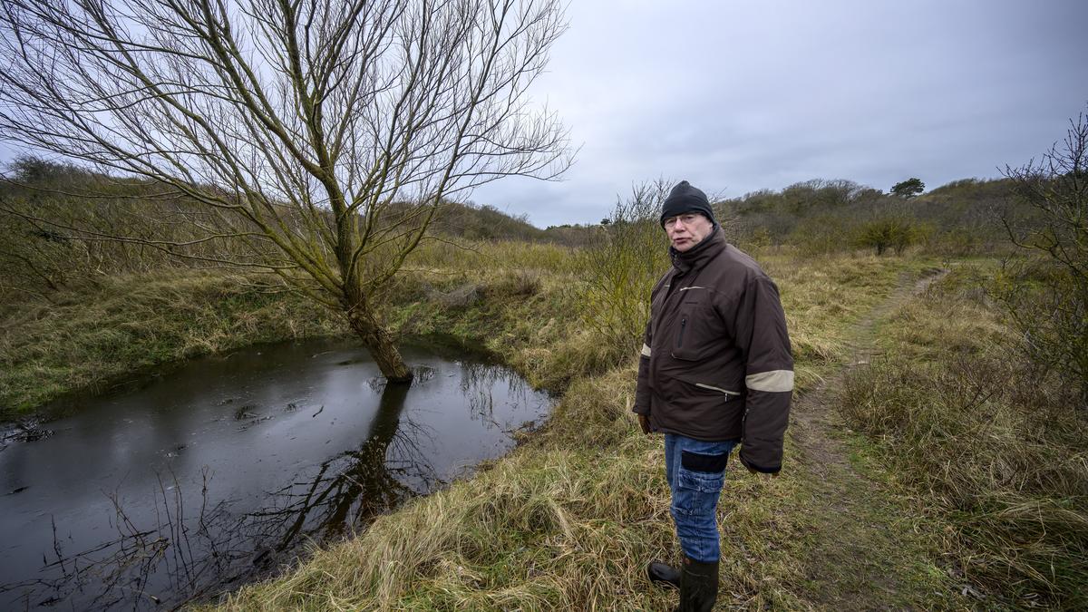 Een kijkje bij de wateroverlast aan de IJmuiderslag. 'Die dieren hadden niet hoeven te verdrinken' | IJmuider Courant