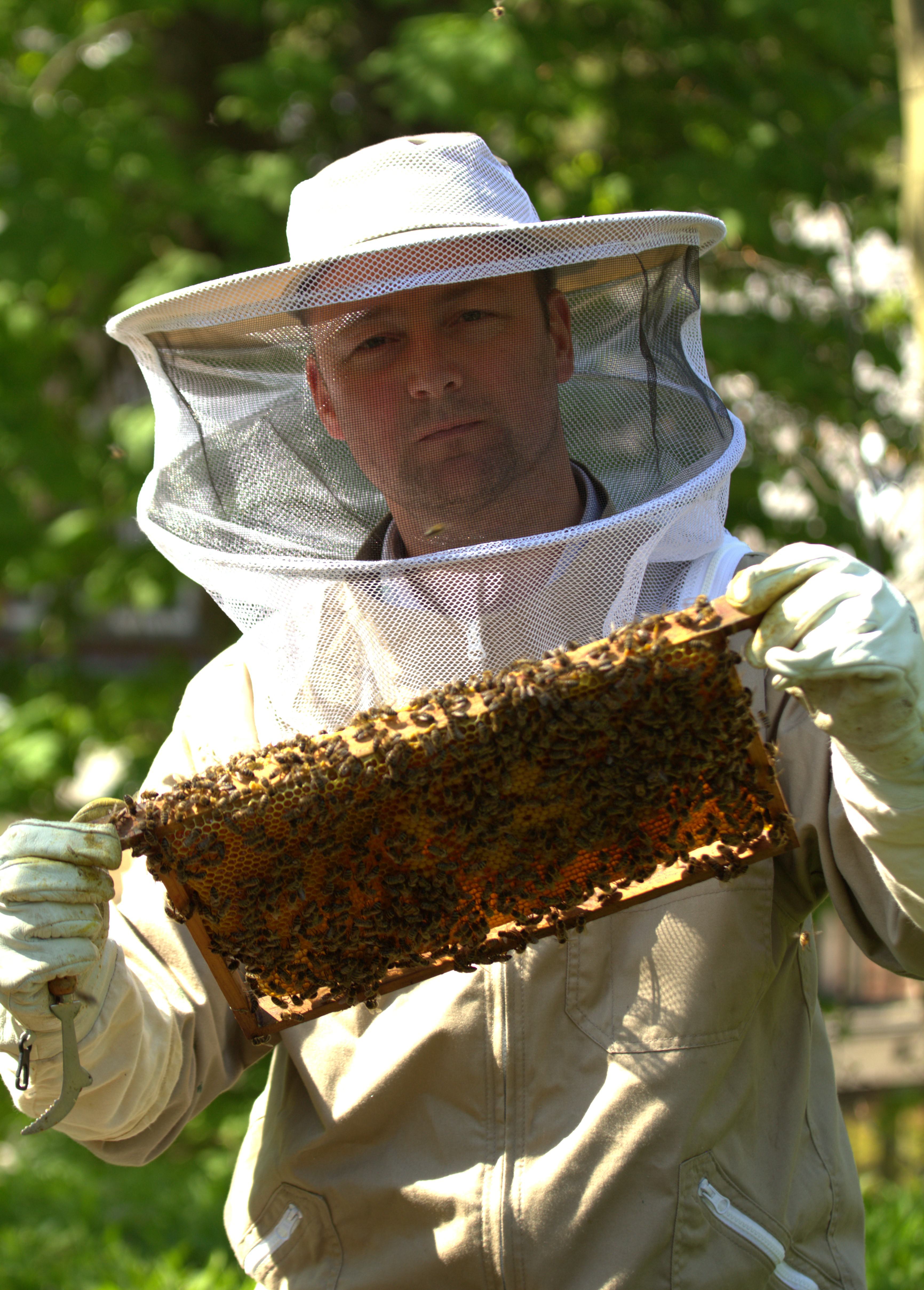 Imker Eddie uit Velserbroek zorgt goed voor zijn bijenvolkjes. ’We zouden veel meer planten in de tu