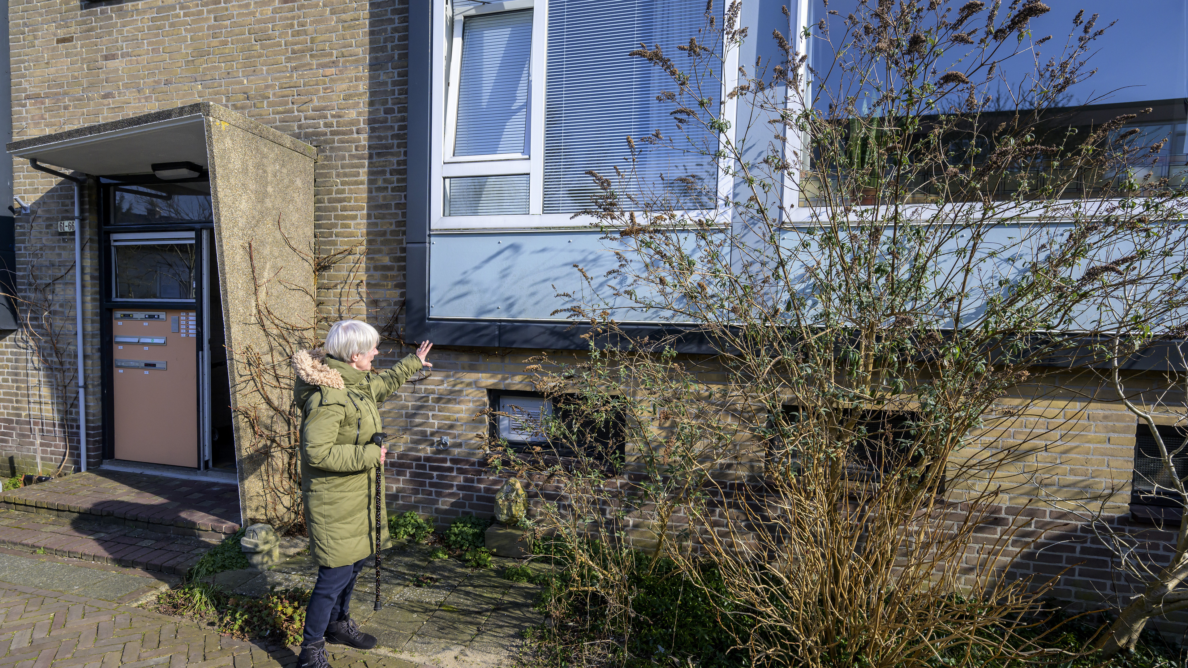 Bewoonster van flat in Santpoort-Zuid wil biodiversiteit behouden. ’Op hortensia’s komen geen insect