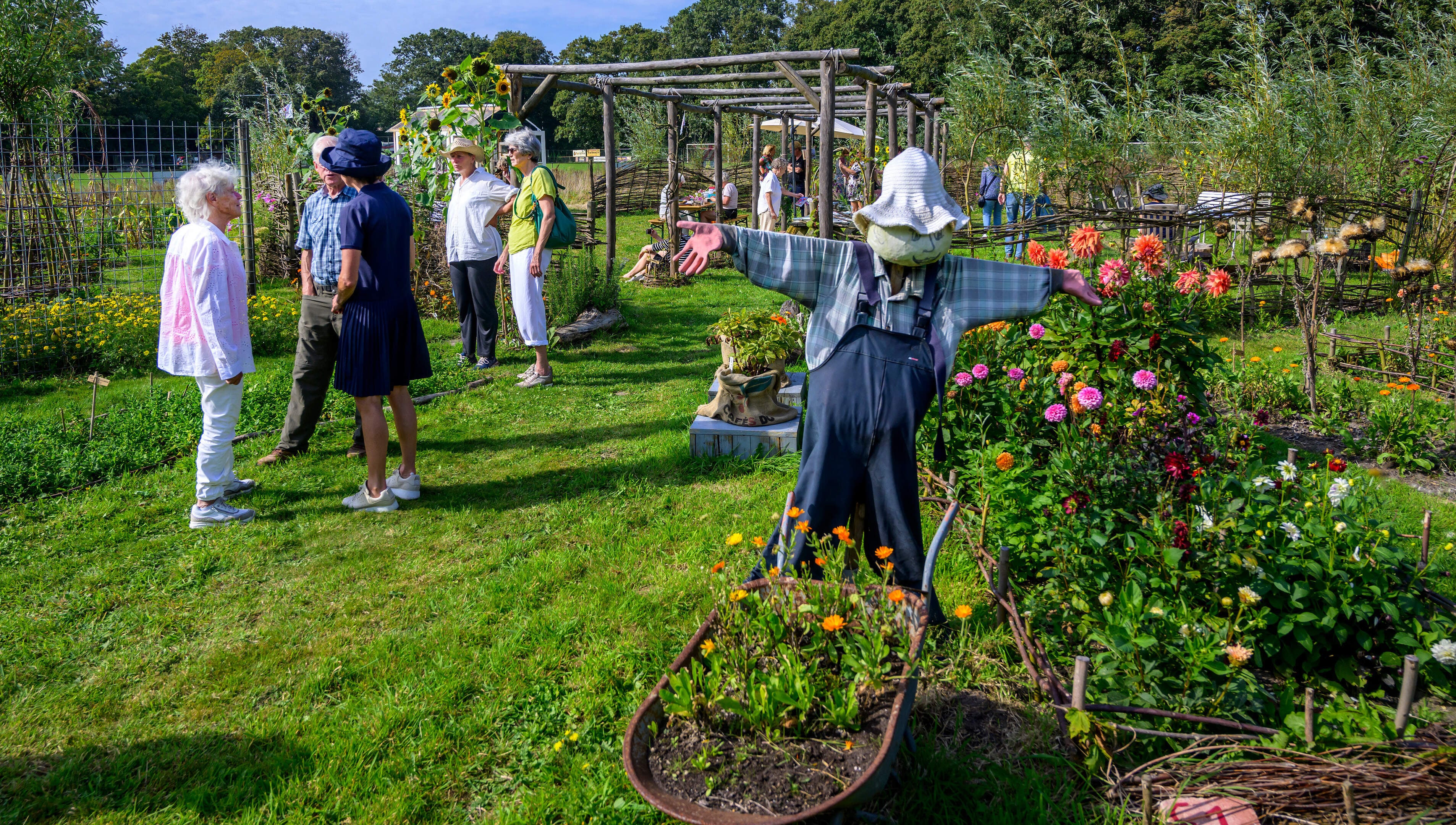 Enthusiasm building among Driehuizen residents for ‘Woonhof Waterloo’ communal living concept for new sports park housing