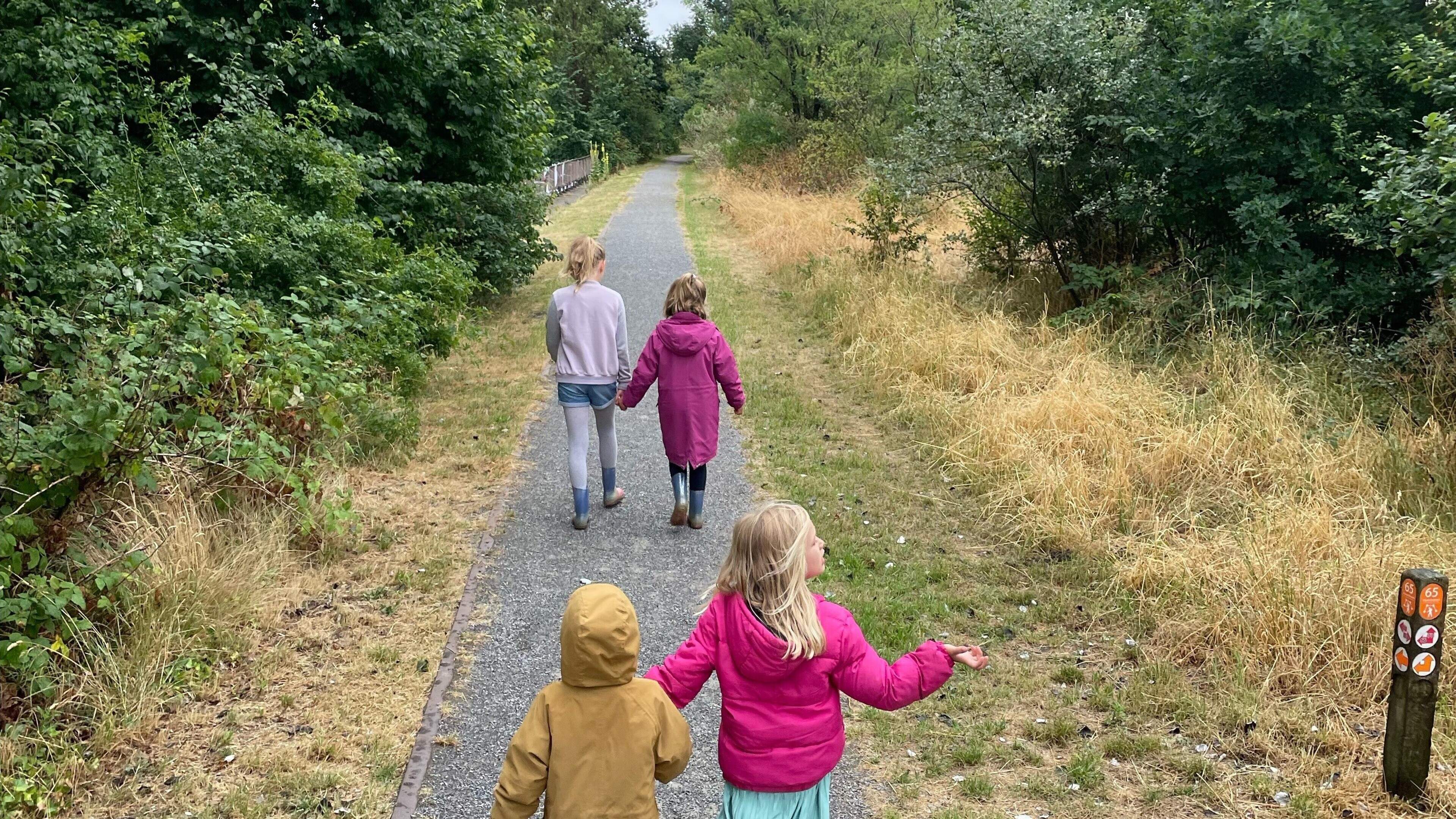 Tour of green spaces in IJmuiden: D66 holds ring park walk