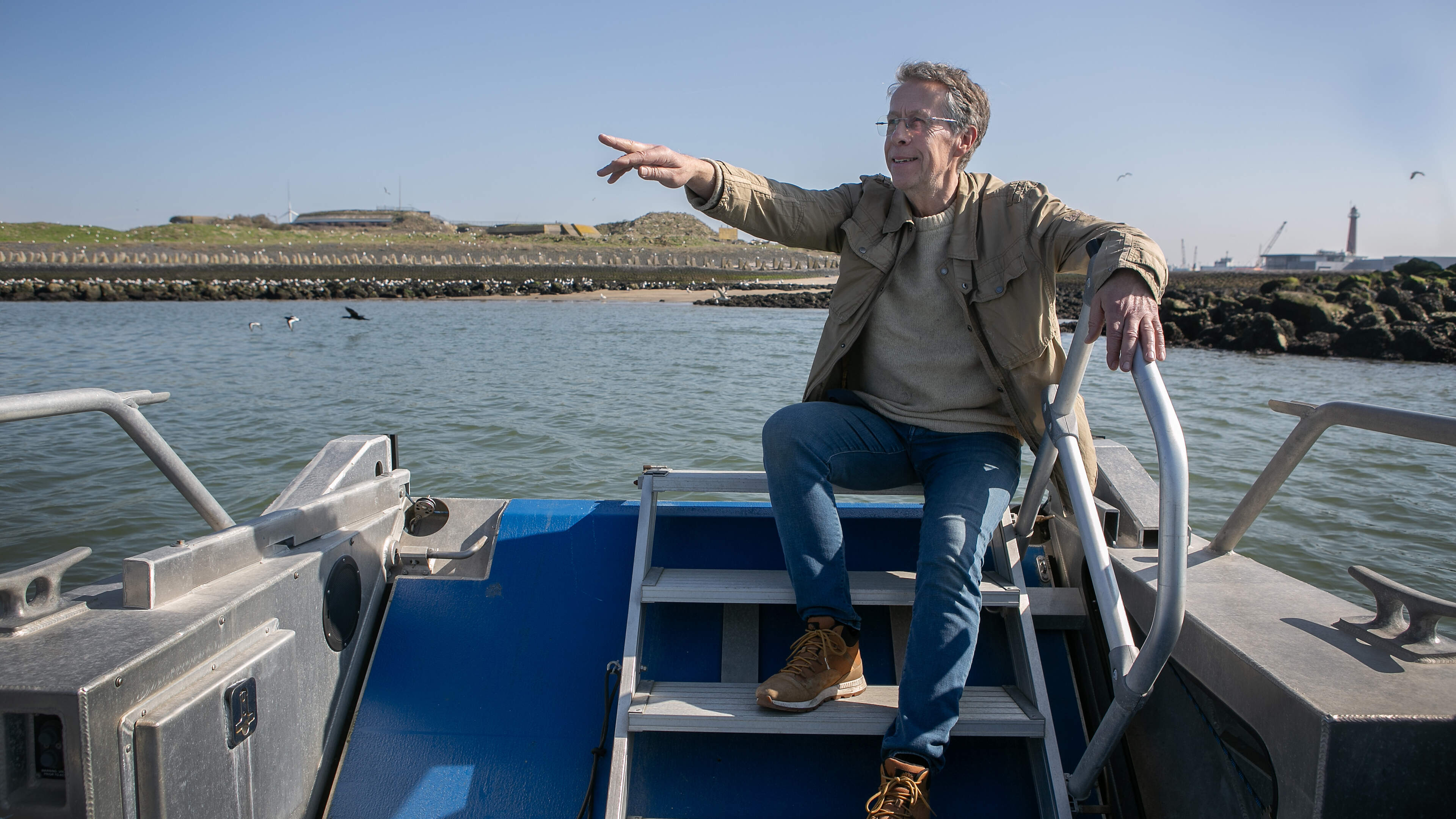 Where is the group of seals that spent two months on the west bank of Fort Island in IJmuiden?