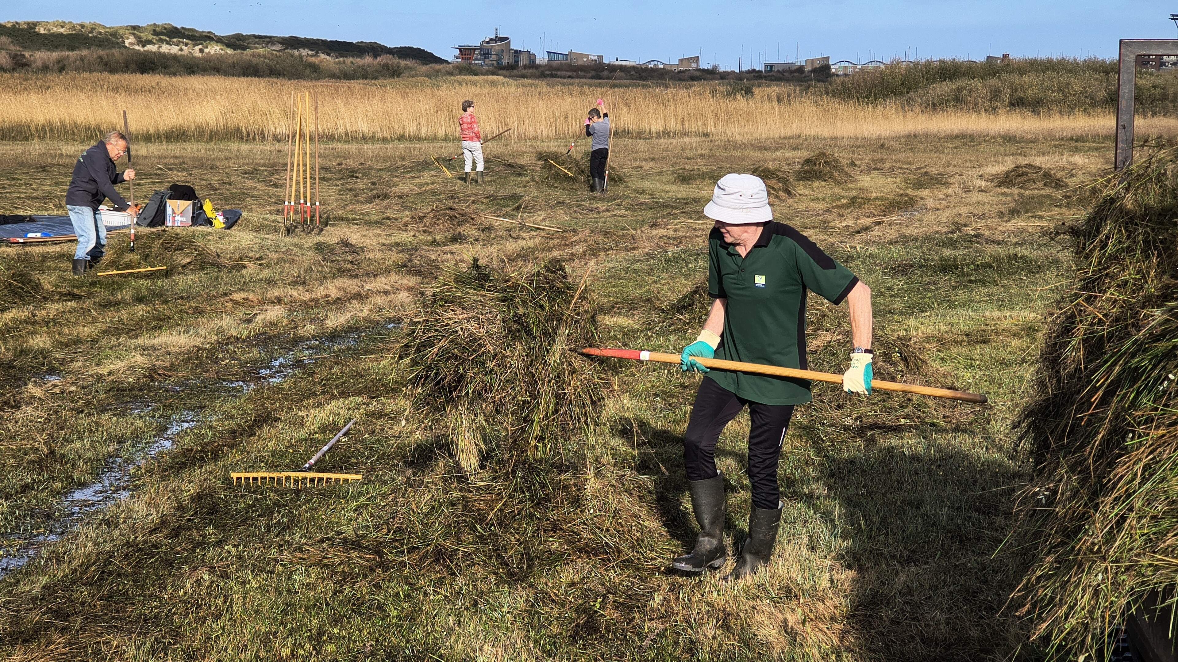Who will help? Nature work at the inland lake in IJmuiden
