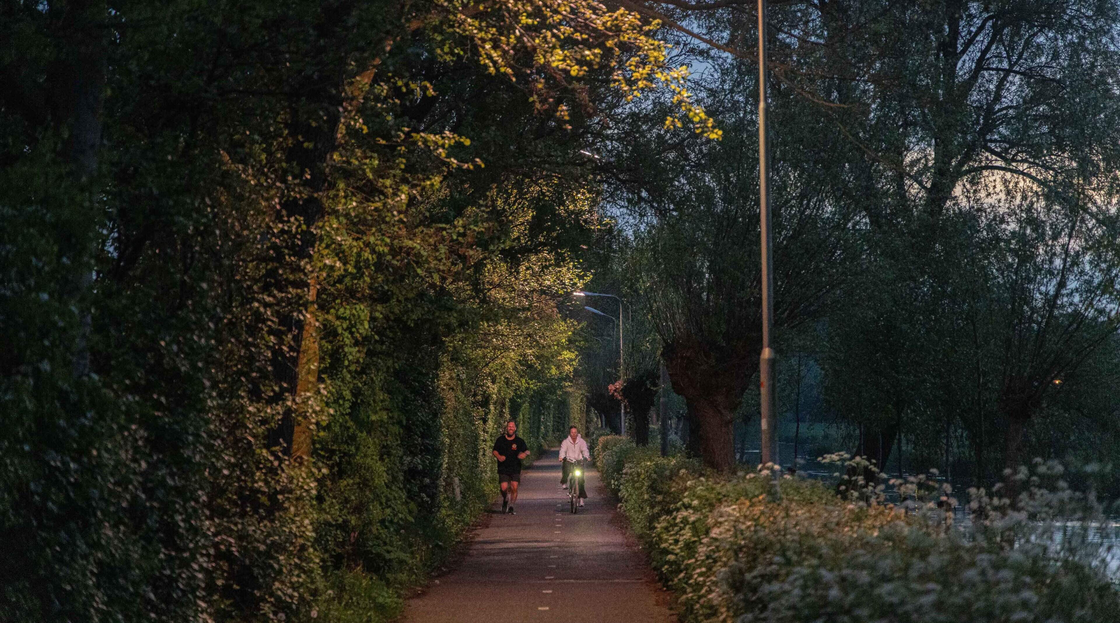 Streetlights along Schoterkerkpad near Santpoort-Zuid are frequently broken: 'I'd rather detour via Bloemendaal'