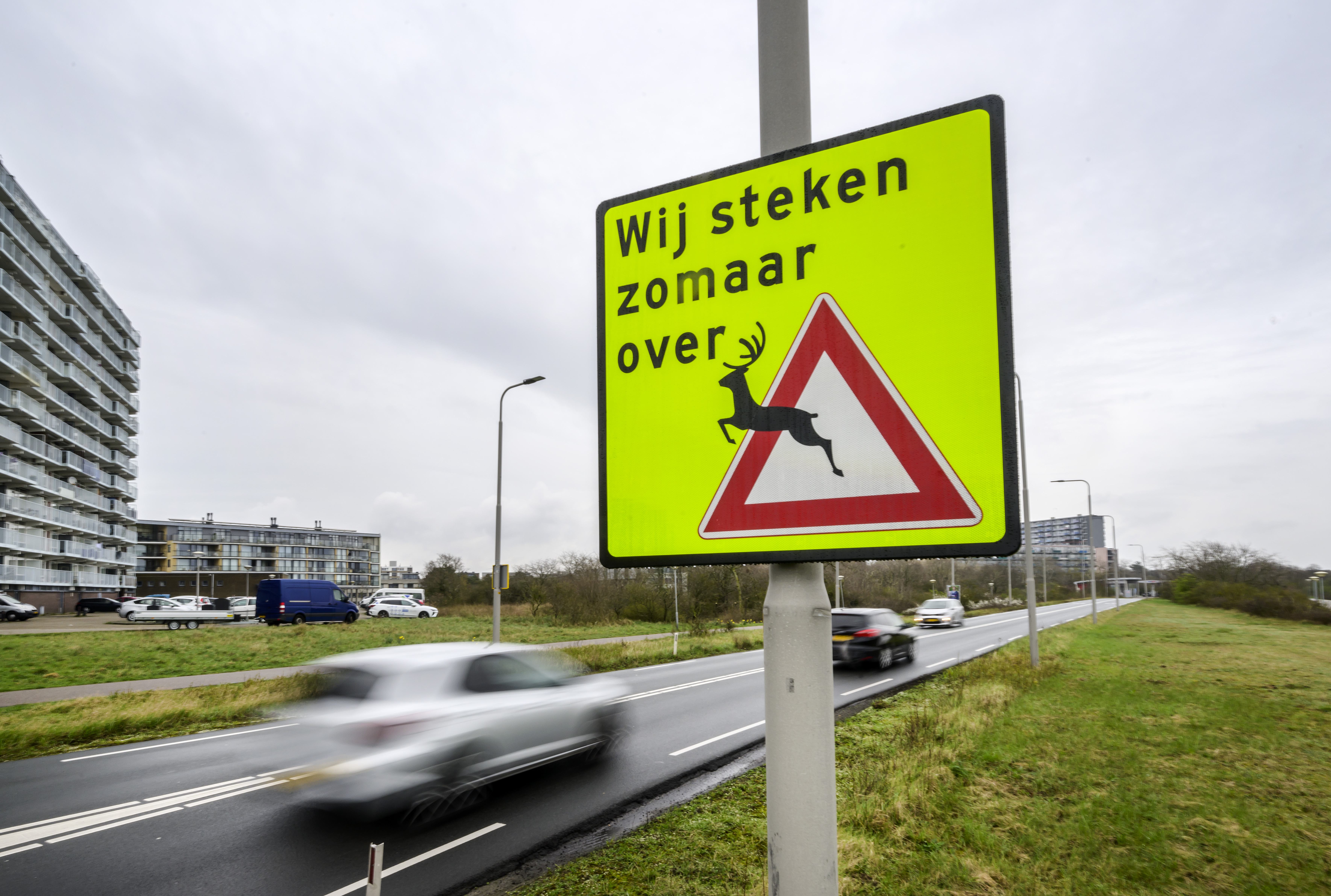 Velsen plaatst vijf nieuwe borden in verband met overstekende herten. Oude vielen niet genoeg op