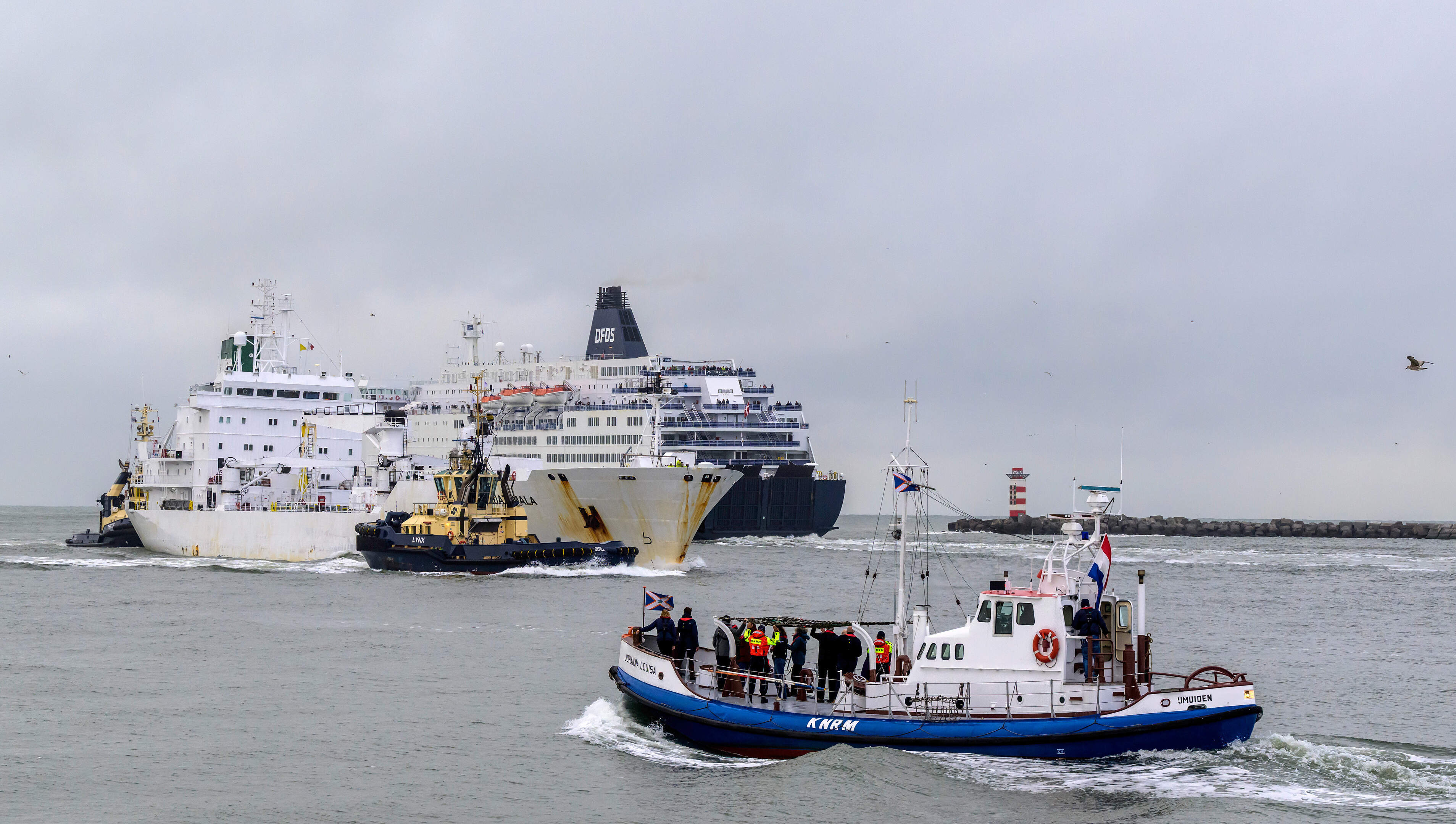 IJmuiden fishing company loses court case: Harbor fishing ban could not be lifted before 2025