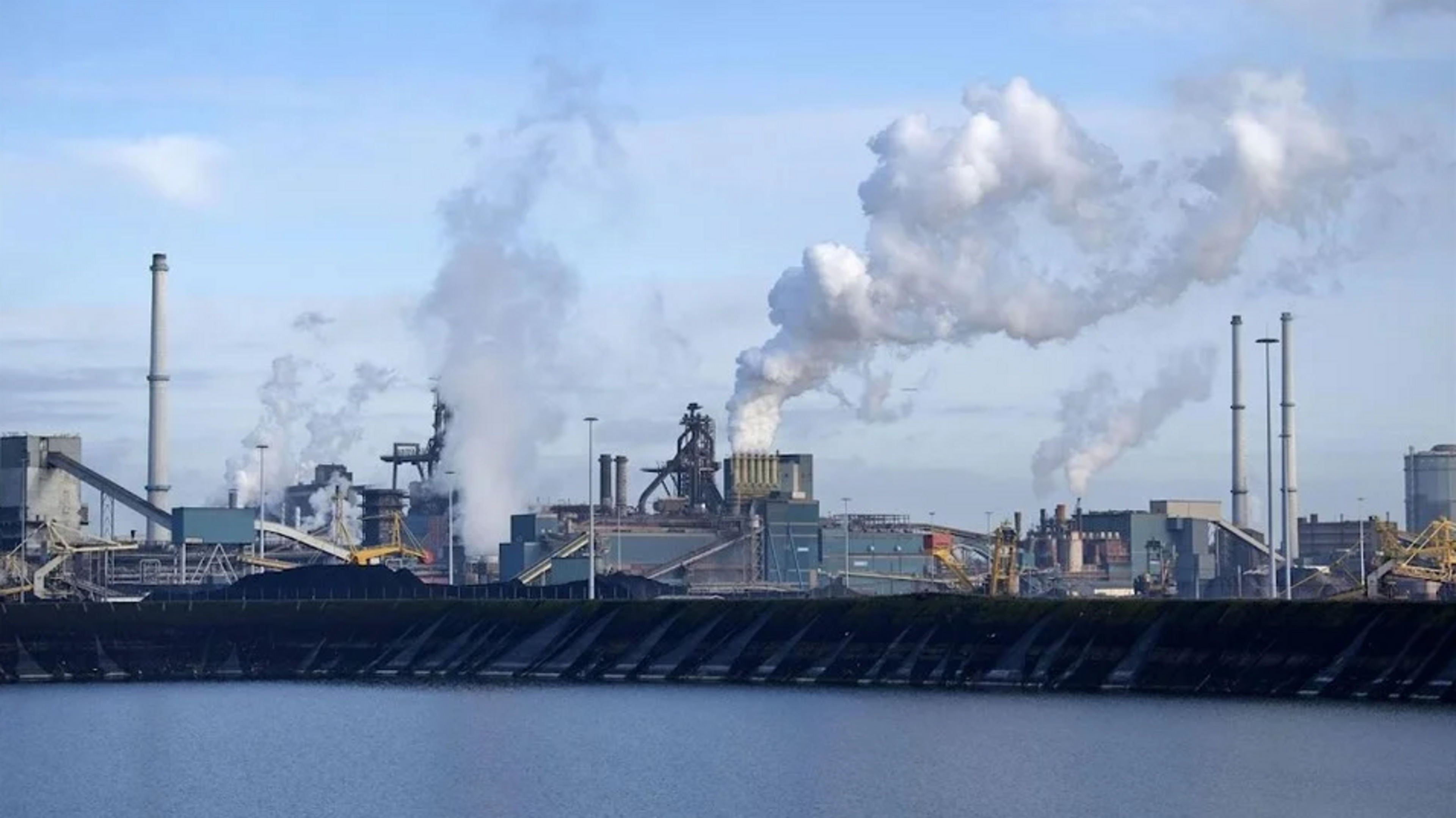 Milieudefensie director to join Tata Steel