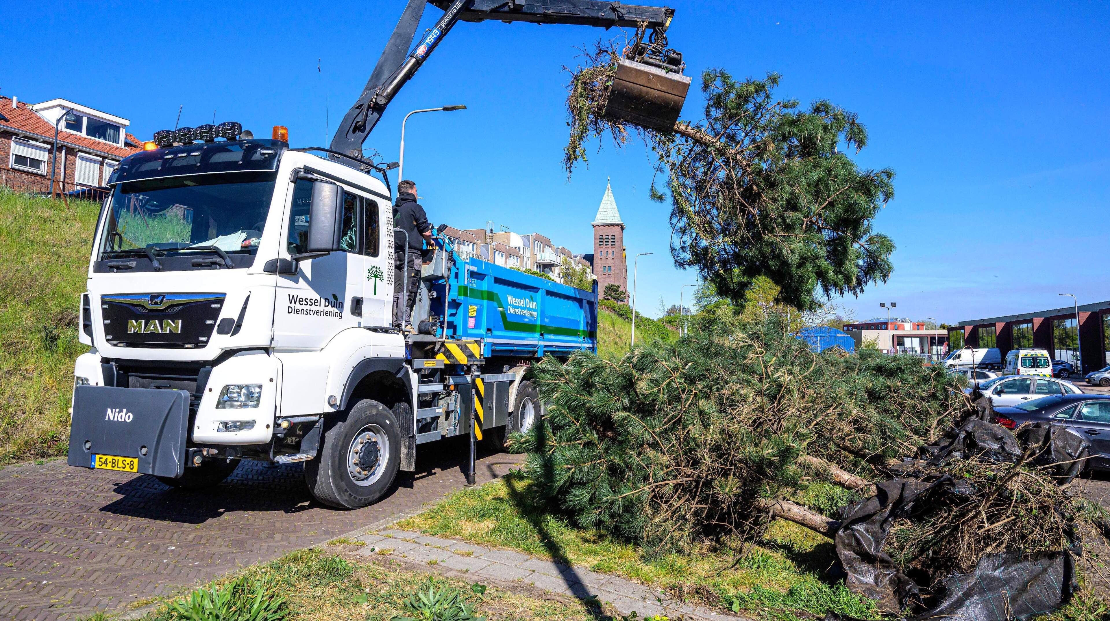IJmuiden port pines to be removed for new construction but will get a second life