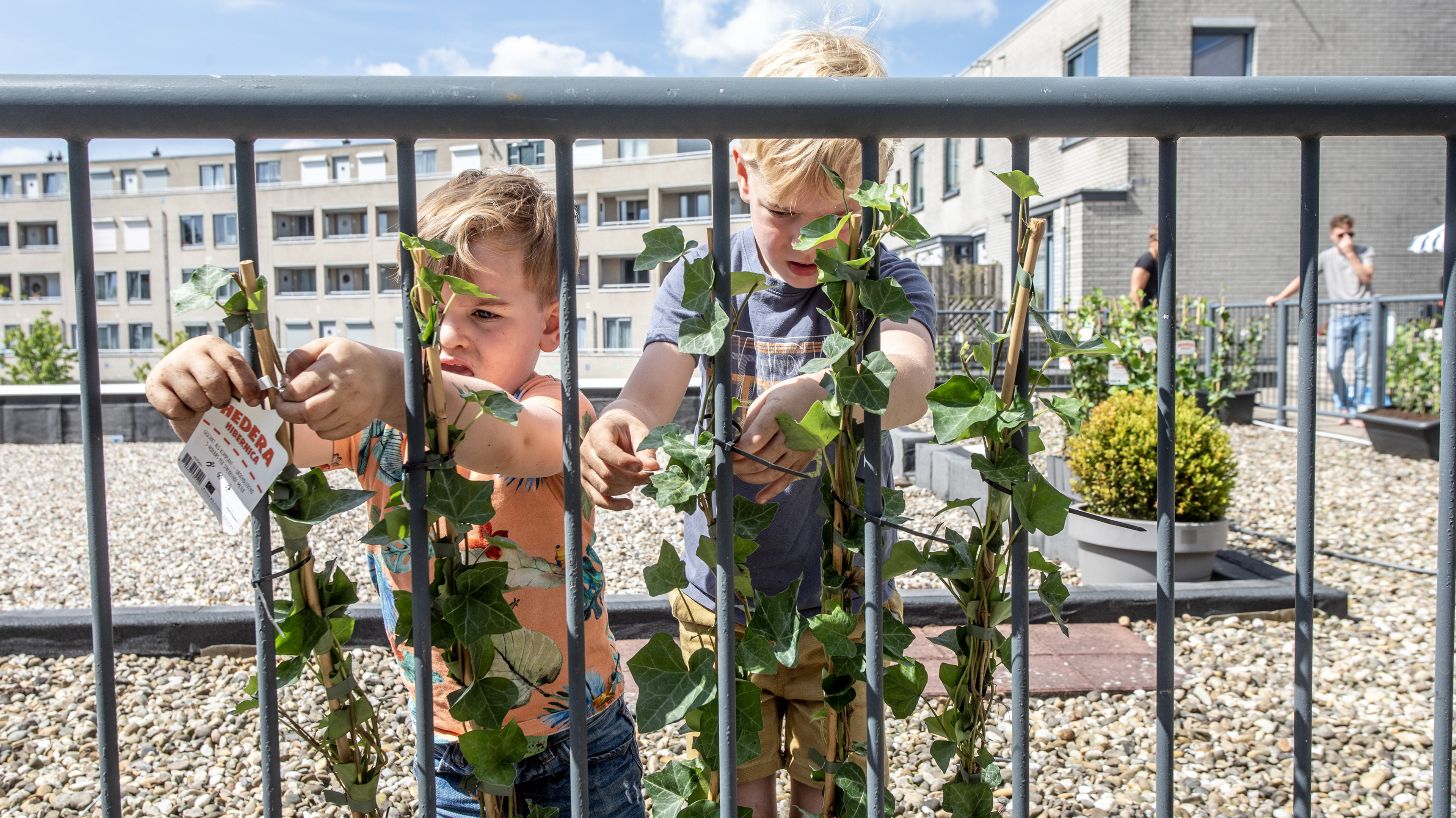Bewoners vieren stilte ná de storm van Action-verbouwing in Velserbroek: ‘Dit heeft het uiterste van