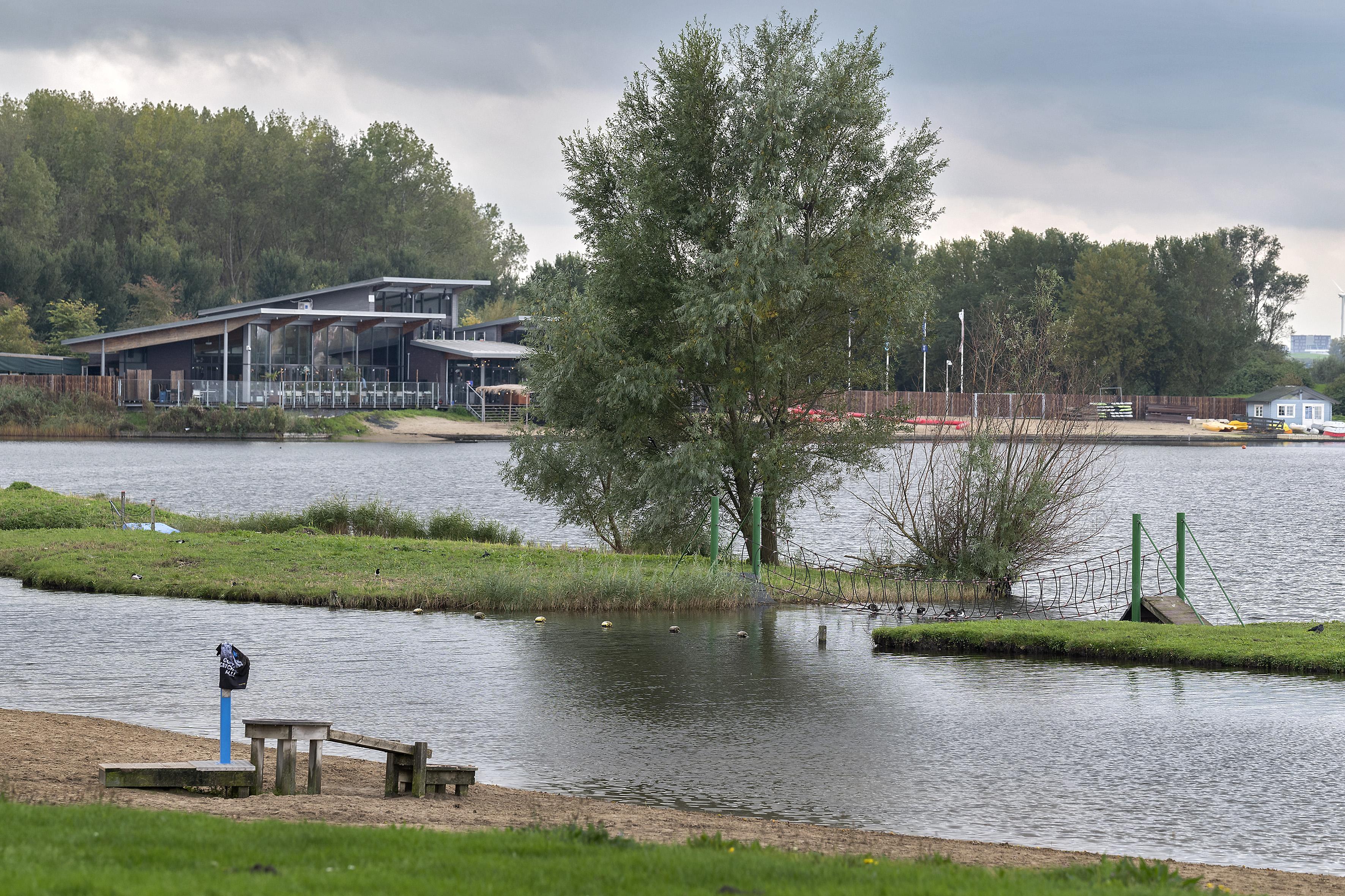Natuur om de hoek: Grauwe abeel en inktzwam bij de Westbroekplas in Velserbroek
