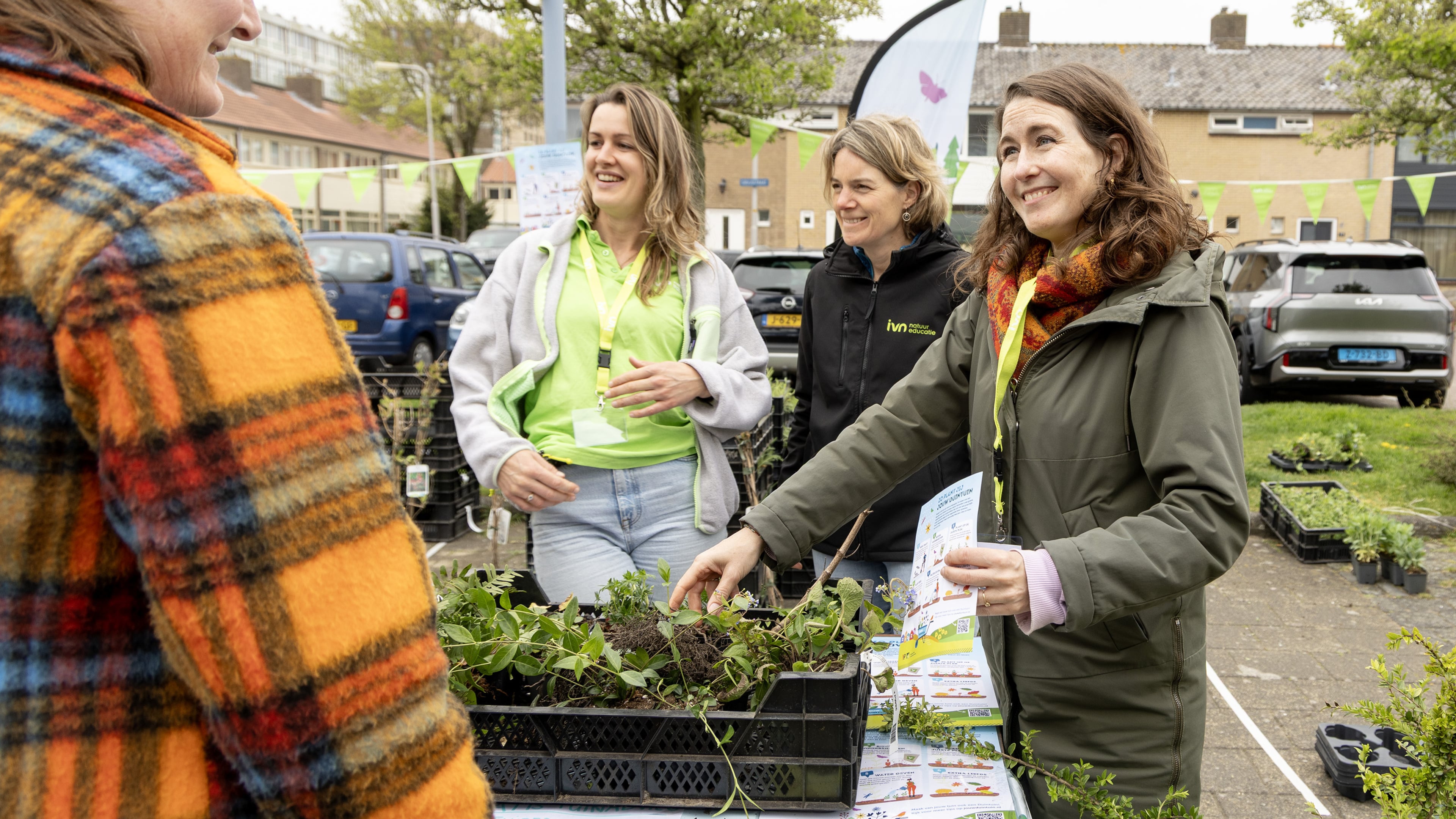 Zeewijk adds nearly a hundred dune gardens: Tiles out and free plants in