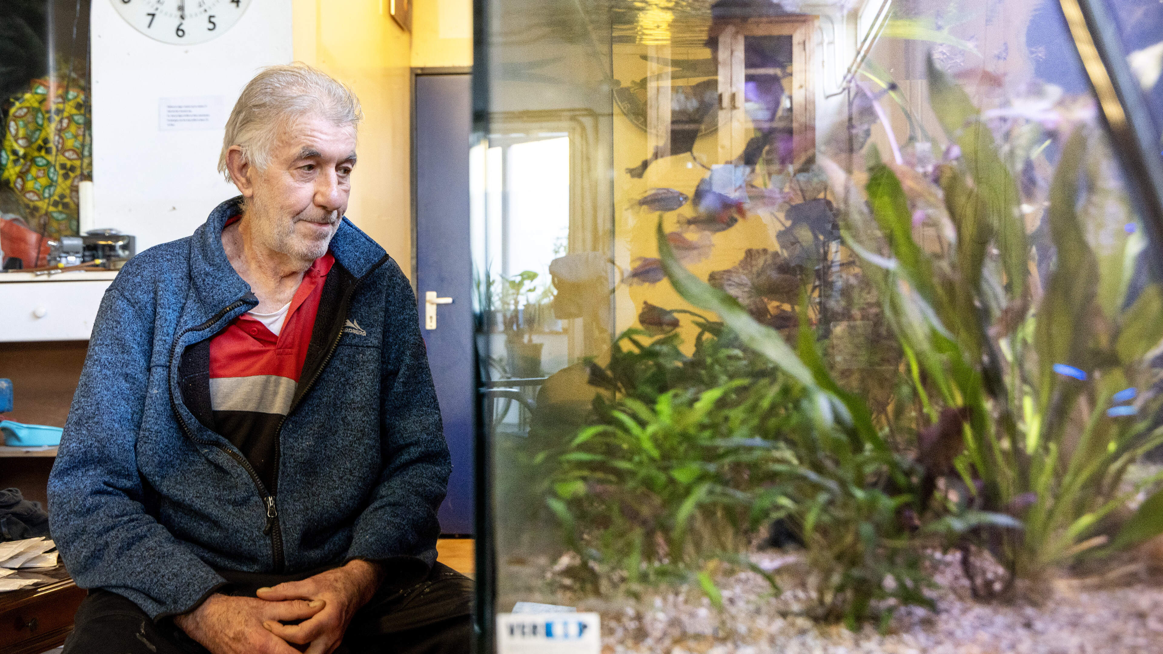 Nanning Hagendoorn (76) has been building aquariums for 53 years, the last 11 in the IJmuiden port area