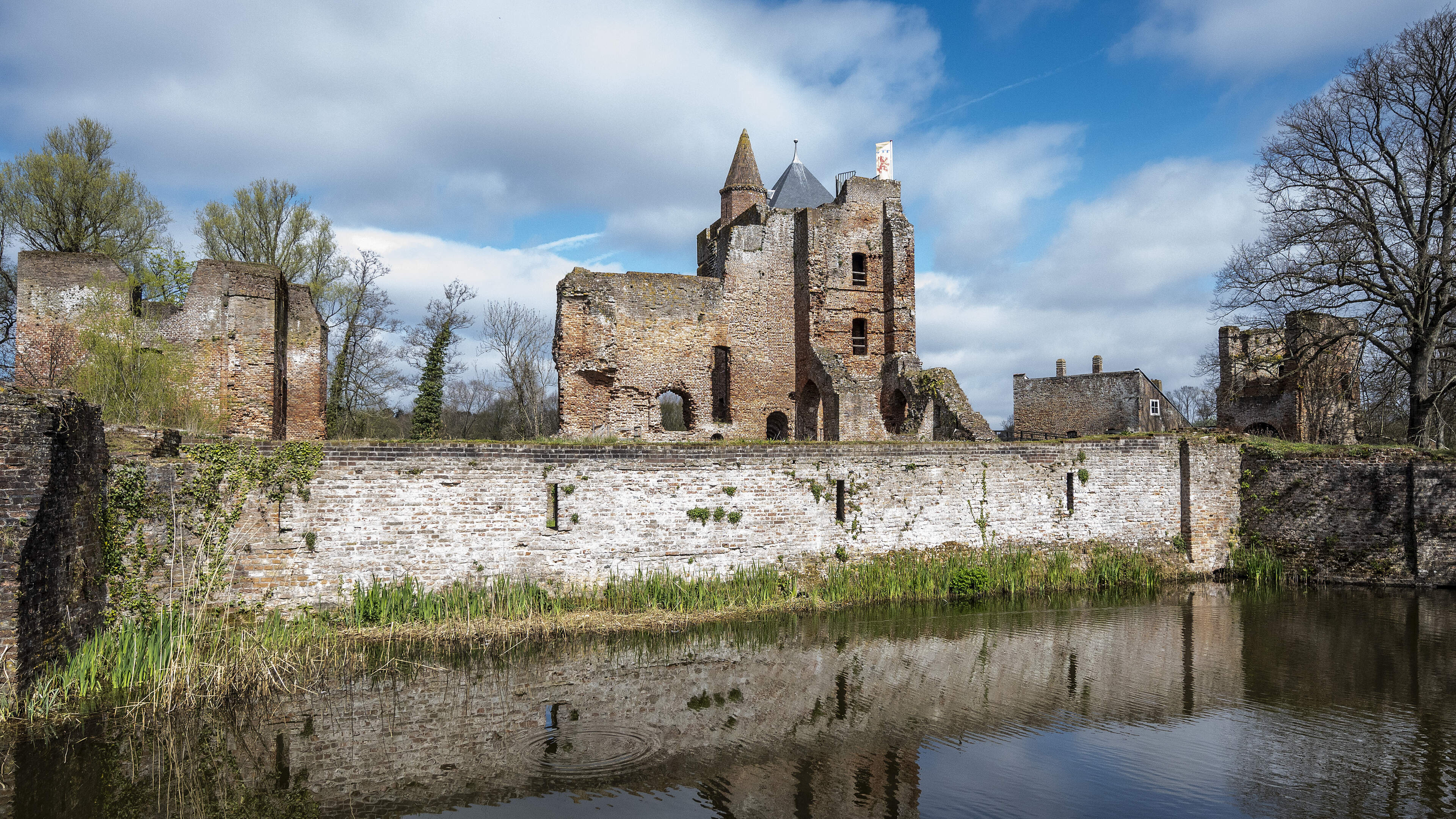 Natuur ontmoet cultuur op de muren van Ruïne van Brederode in Santpoort-Zuid