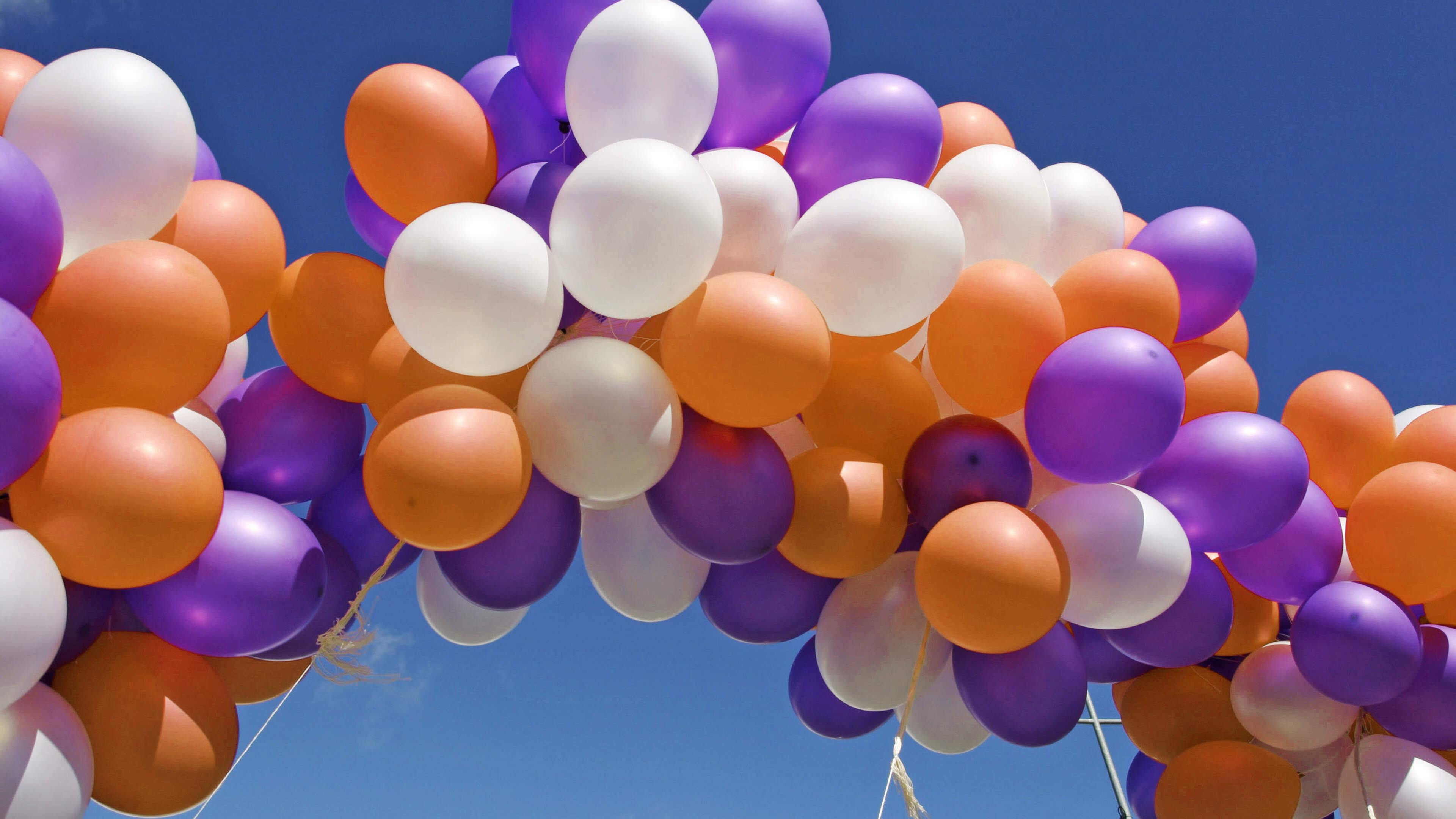 Open dag bij Philadelphia Zorg in IJmuiden en Velserbroek