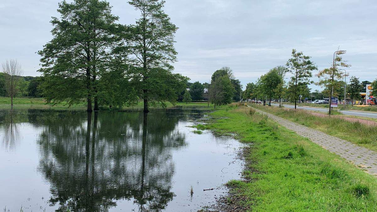 Wie neemt nu de regie over het grondwaterprobleem? 'Bewoners Velsen voelen zich machteloos' | Noordhollands Dagblad