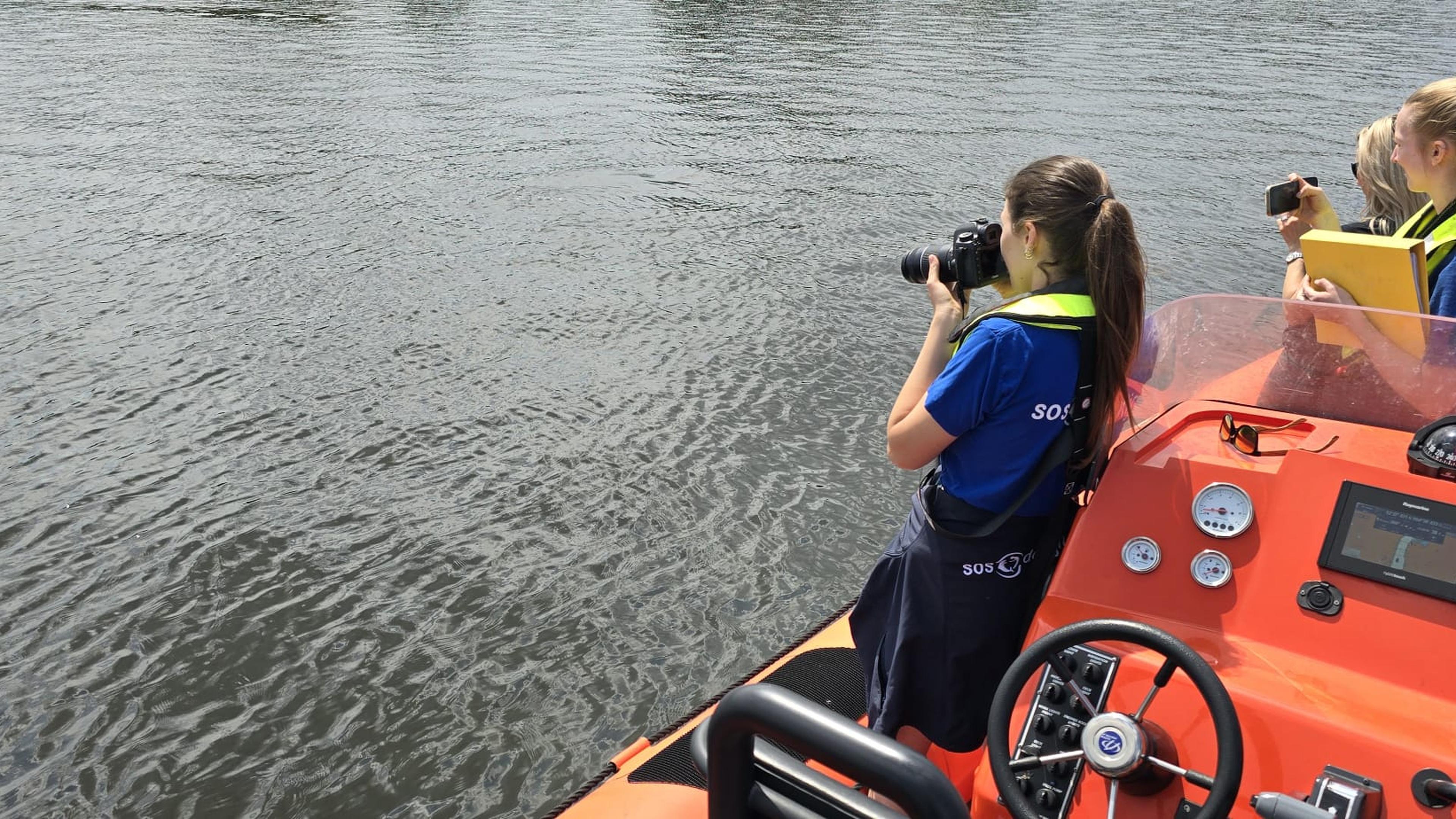 Dolfijn weer gespot in Noordzeekanaal. Observatie nu ook vanaf het ...